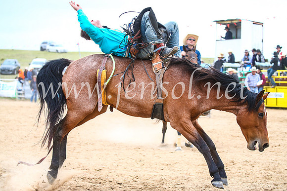 BungendoreRodeo2017_6076
