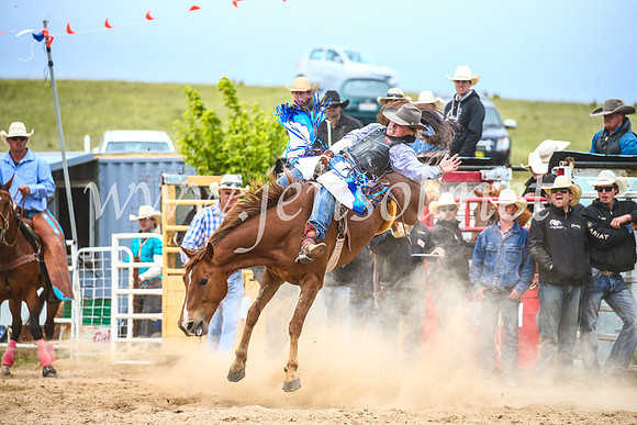 BungendoreRodeo2017_6104