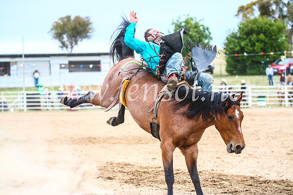 BungendoreRodeo2017_6060