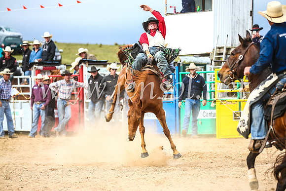 BungendoreRodeo2017_6177