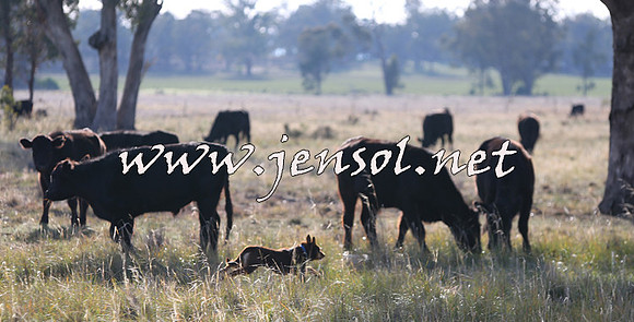 STBHTubbulCampdraft2015_0921