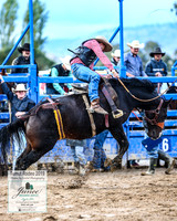 TumutRodeo2019_2380