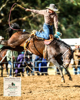 TumutRodeo2019_2509