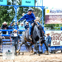 TumutRodeo2019_2592