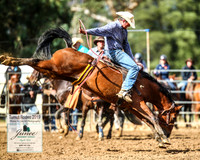 TumutRodeo2019_2471