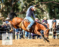 TumutRodeo2019_2447