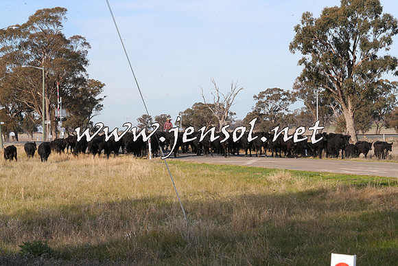 STBHTubbulCampdraft2015_1325