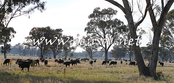 STBHTubbulCampdraft2015_0916