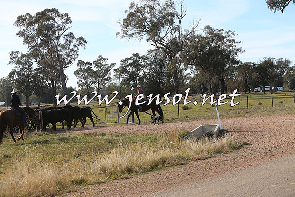 STBHTubbulCampdraft2015_0982