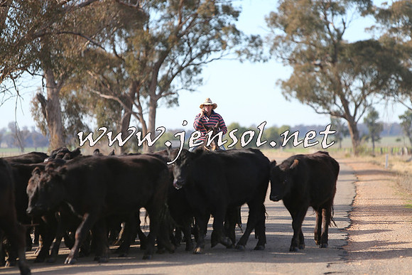 STBHTubbulCampdraft2015_0976