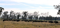 STBHTubbulCampdraft2015_0924
