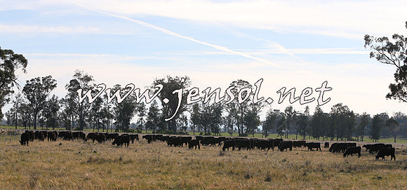 STBHTubbulCampdraft2015_0924