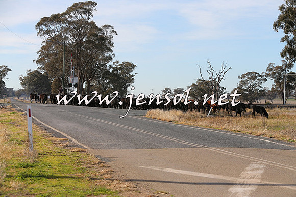 STBHTubbulCampdraft2015_0949