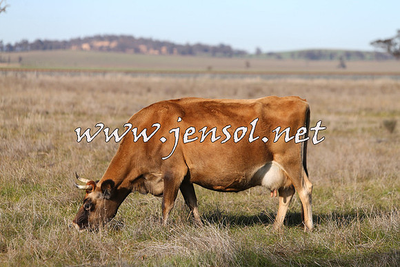 STBHTubbulCampdraft2015_0925
