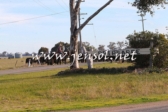 STBHTubbulCampdraft2015_1333