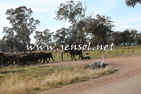 STBHTubbulCampdraft2015_0981