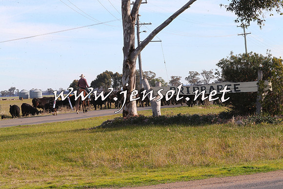 STBHTubbulCampdraft2015_1332