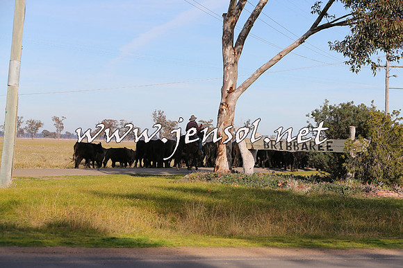 STBHTubbulCampdraft2015_0962