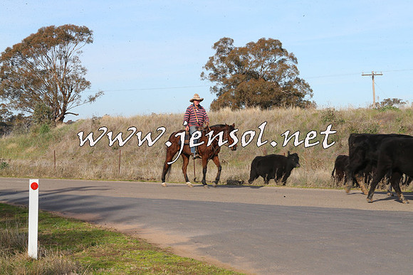 STBHTubbulCampdraft2015_1328