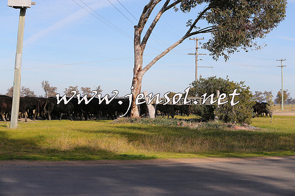 STBHTubbulCampdraft2015_0957