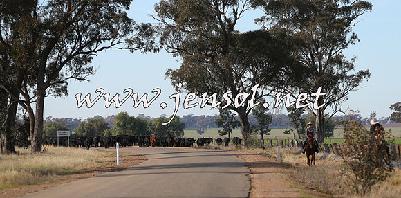 STBHTubbulCampdraft2015_0966