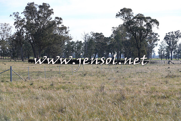 STBHTubbulCampdraft2015_0930