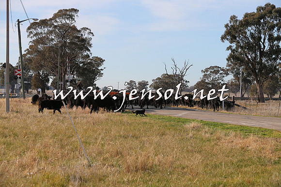 STBHTubbulCampdraft2015_0951