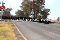 STBHTubbulCampdraft2015_0945