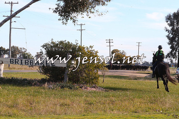 STBHTubbulCampdraft2015_1334