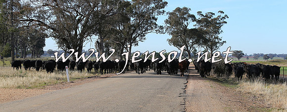 STBHTubbulCampdraft2015_0971