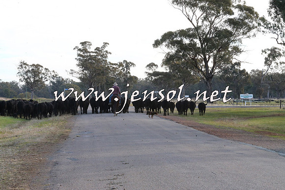 STBHTubbulCampdraft2015_1352