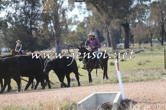STBHTubbulCampdraft2015_0980