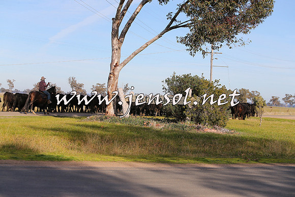 STBHTubbulCampdraft2015_0959
