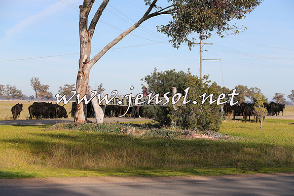 STBHTubbulCampdraft2015_0964