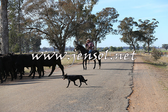 STBHTubbulCampdraft2015_0977