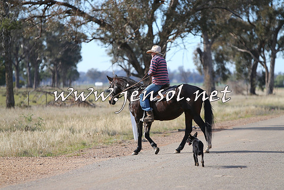 STBHTubbulCampdraft2015_0978