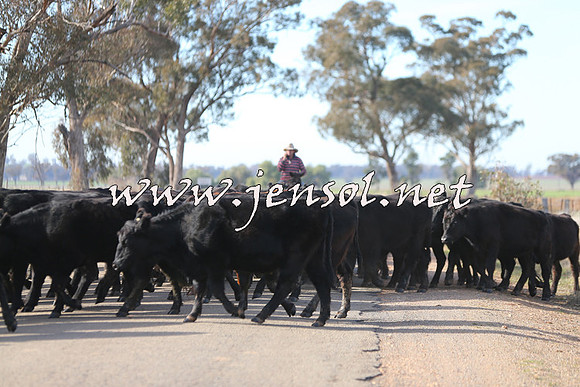 STBHTubbulCampdraft2015_0974