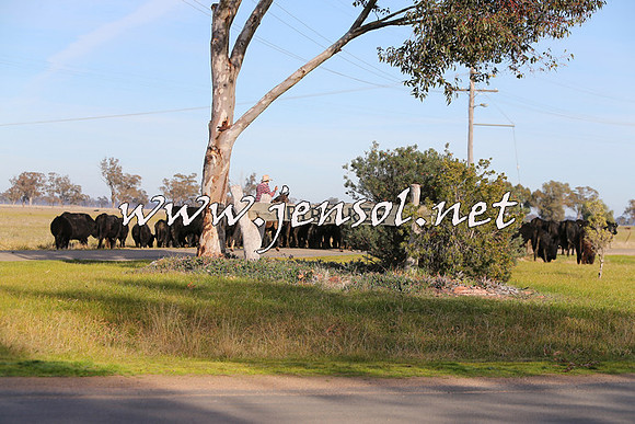 STBHTubbulCampdraft2015_0963