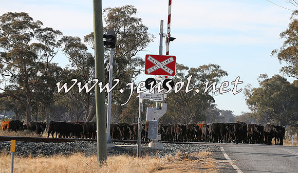 STBHTubbulCampdraft2015_0938