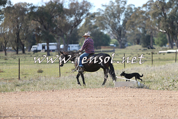 STBHTubbulCampdraft2015_0979