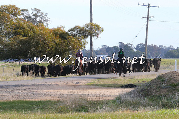 STBHTubbulCampdraft2015_1337