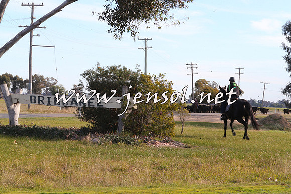 STBHTubbulCampdraft2015_1335