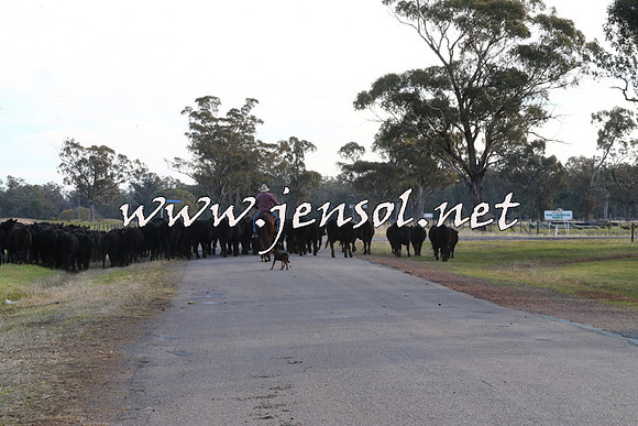 STBHTubbulCampdraft2015_1351