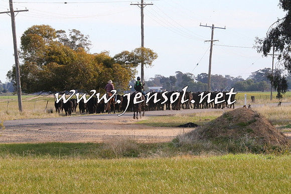 STBHTubbulCampdraft2015_1336