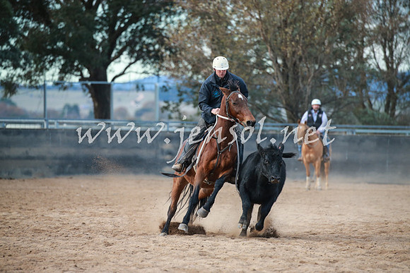 BungendoreCampdraft2016_5015