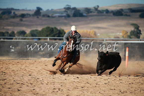 BungendoreCampdraft2016_5117
