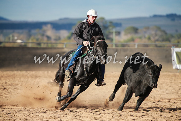 BungendoreCampdraft2016_5101