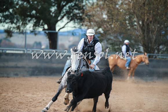 BungendoreCampdraft2016_5051