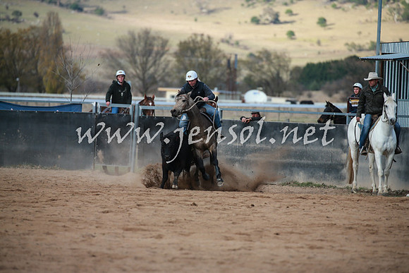 BungendoreCampdraft2016_5076