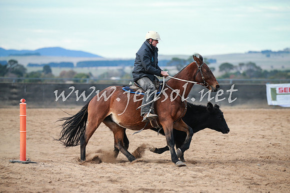 BungendoreCampdraft2016_5029